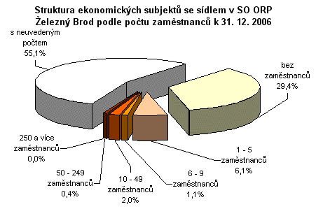 Graf - Struktura ekonomických subjektů se sídlem v SO ORP Železný Brod podle počtu zaměstnanců k 31. 12. 2006